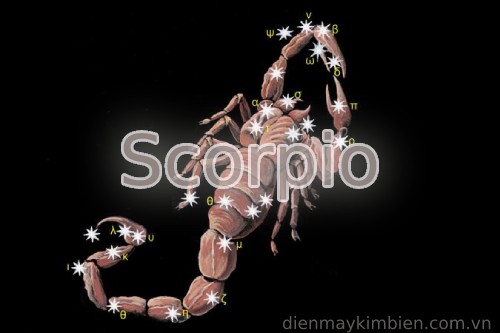 Scorpio là cung gì