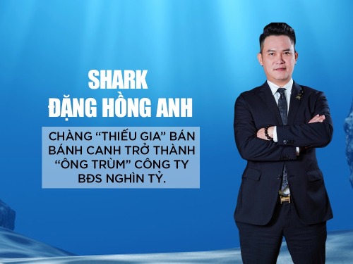 Con đường khởi nghiệp Shark Hồng Anh