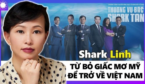 Con đường sự nghiệp của Shark Linh