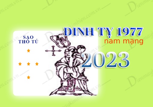 Sao chiếu mệnh tuổi Định Tỵ 1977 nam mạng năm 2023