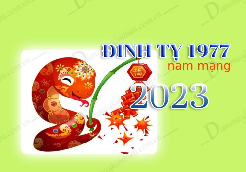 Tử vi tuổi Đinh Tỵ 1977 nam mạng năm 2023