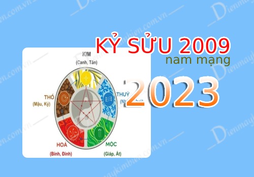 Tử vi tuổi Kỷ Sửu 2009 nam mạng năm 2023