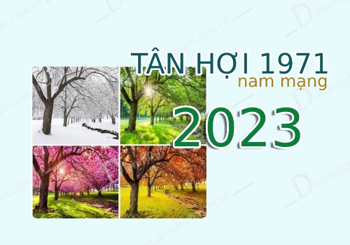 Tử vi tuổi Tân Hợi 1971 nam mạng năm 2023 theo mùa