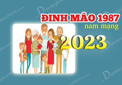 Gia đạo tuổi Đinh Mão 1987 nam mạng năm 2023