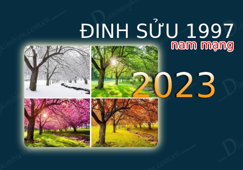 Tử vi tuổi Đinh Sửu 1997 nam mạng năm 2023 theo mùa